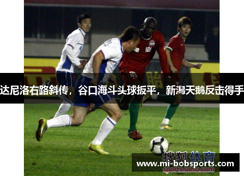 达尼洛右路斜传，谷口海斗头球扳平，新潟天鹅反击得手
